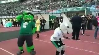 status wa kocak jojo dan zoro di GBT