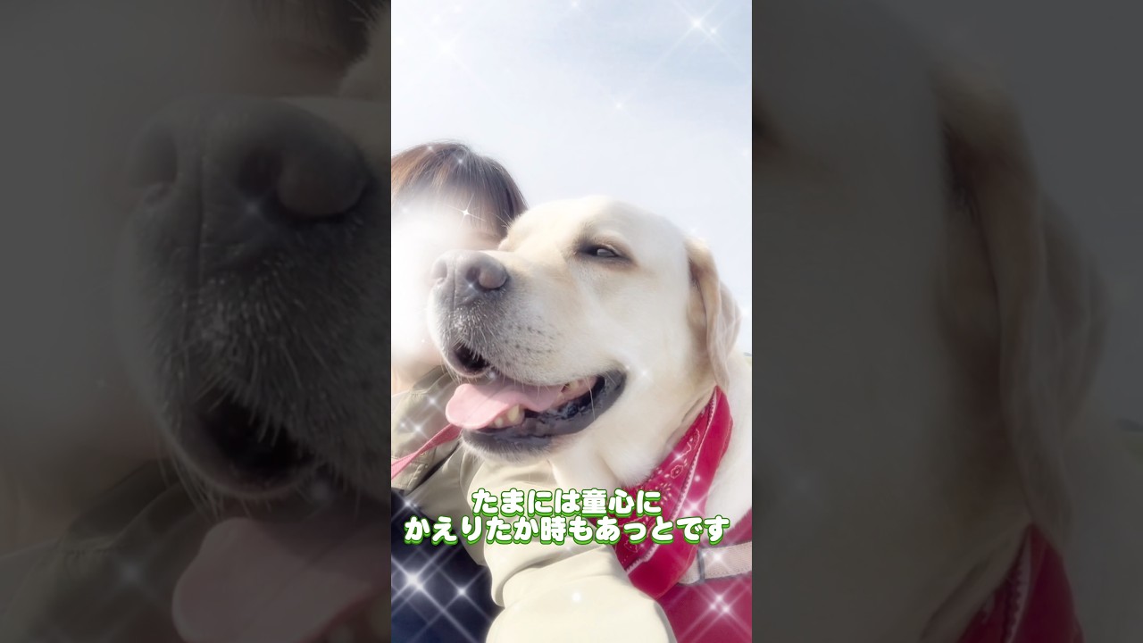 2歳んころはヤンチャもしたッ🐕