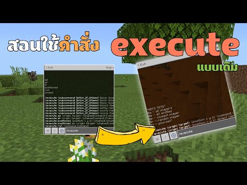 How to Use the Old Execute Command