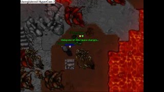 Tibia Foxworld