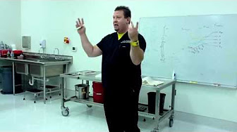 Anatomy Dr Preddy - YouTube