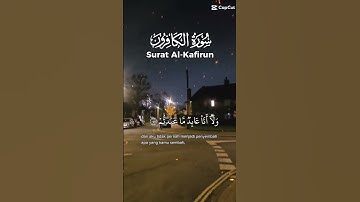 تلاوة خاشعة عطرة مباركة للشيخ سعد الغامدي سورة الكافرون