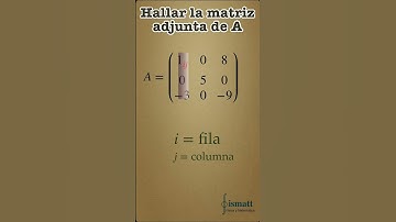 Matriz adjunta de 3x3