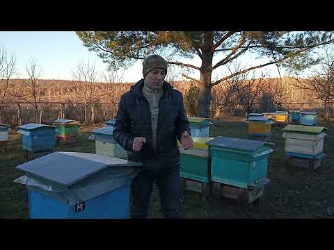 Пчеловодство №114 Как правильно разместить ульи на пасеке