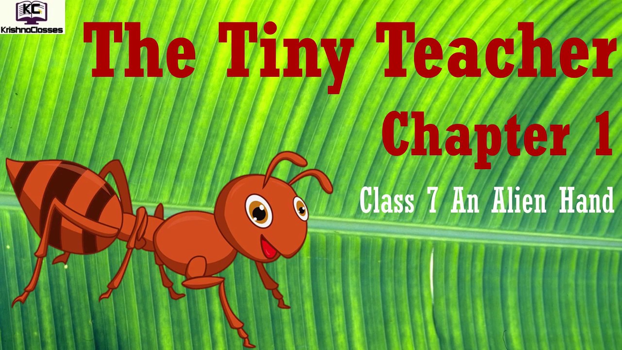 The Tiny Teacher Class 7 Hindi YouTube the-tiny-teacher-class-7-hindi-youtube