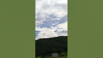 القارئ يحيى الشمايله .. قال هذا صراط علي مستقيم