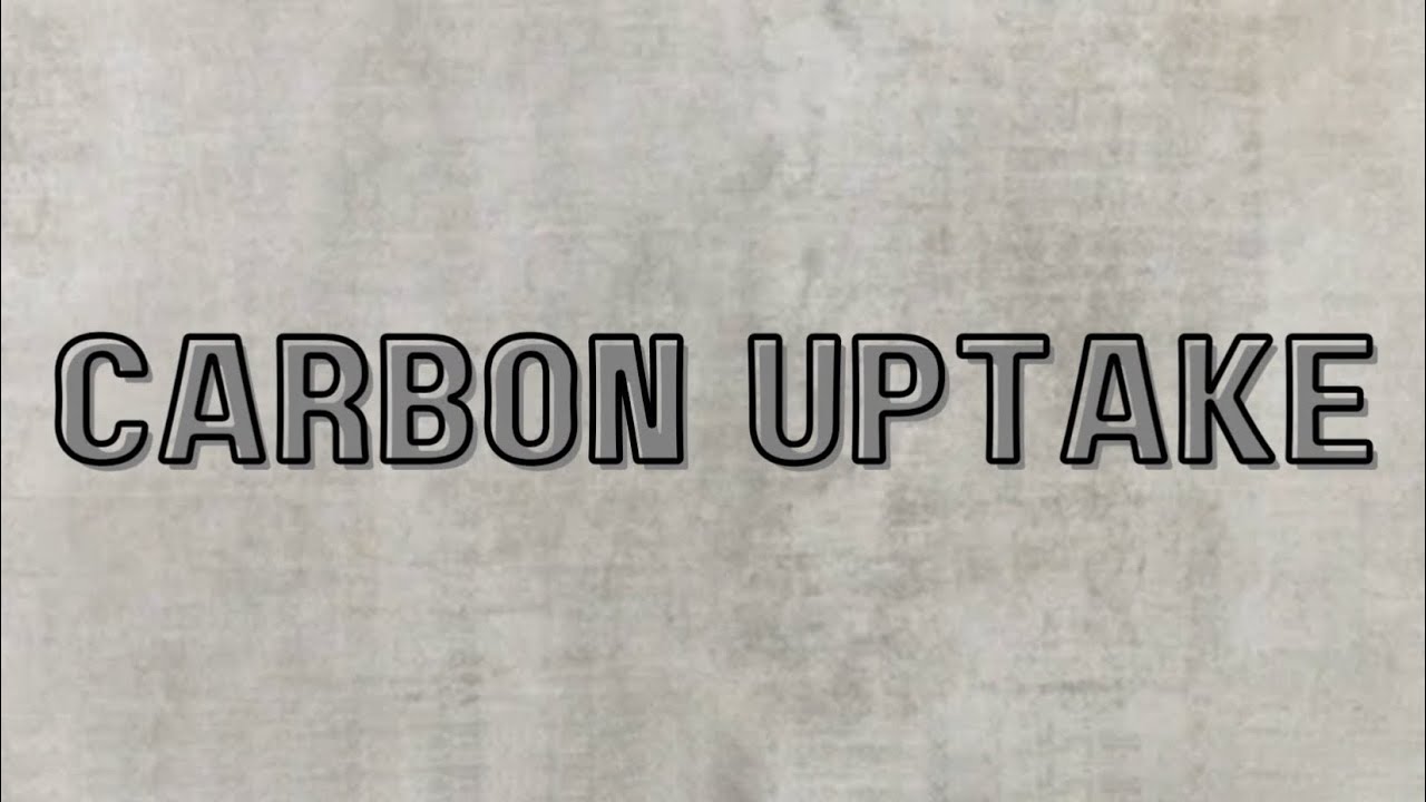 What is Carbon Uptake?