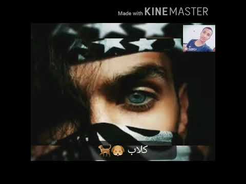 حلات وتس تعبان بموت جامده 