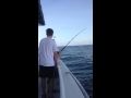 Josh battles a shark