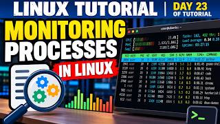 Information Monitoring Processes in Linux - Day 23 of Tutorial Update