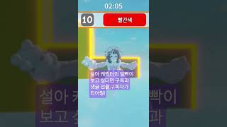 설아의 얼빡 본사람 댓글에 생존 신고 해줭!