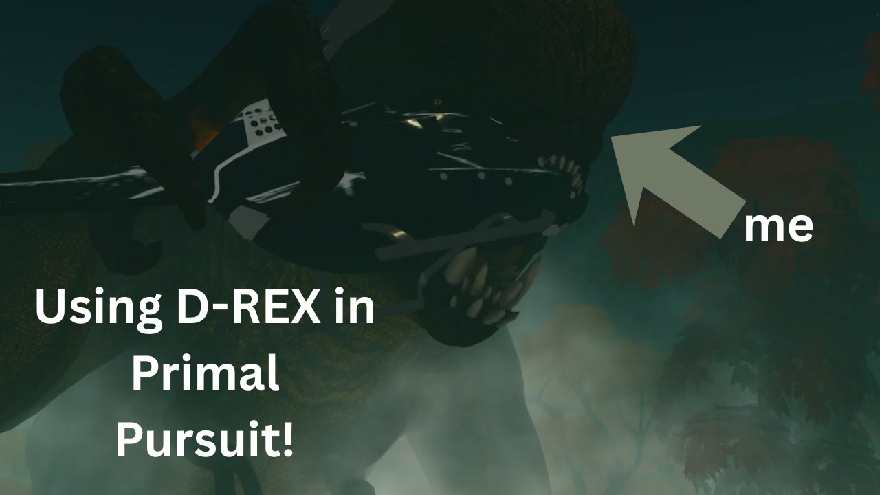 USING D-REX in PRIMAL PURSUIT!