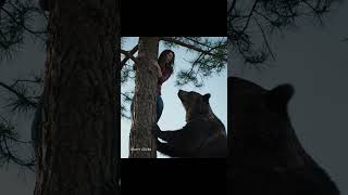 Terrifying Woman Trapped In Tree As Huge Bear Tries To Climb