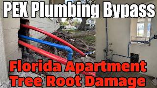 Building Plumbing BYPASS Tree Root Damage Via PEX Reroute Through Walls & Ceiling Alternative FIX