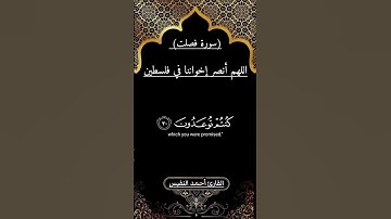 سورة فصلت _تلاوة للقارئ أحمد النفيس