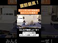 【腹筋最高!】筋トレ初心者や高齢者は必見!!腹筋#Shorts