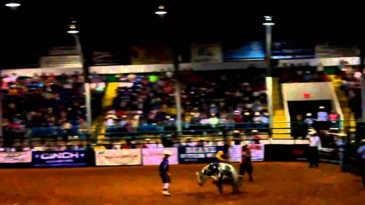 Tiger in Ardmore PBR w Colten Kelly