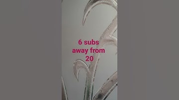 comment down below if you want a shout out!!!