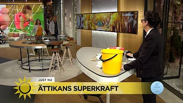 Kan man spraya ättika på växter?