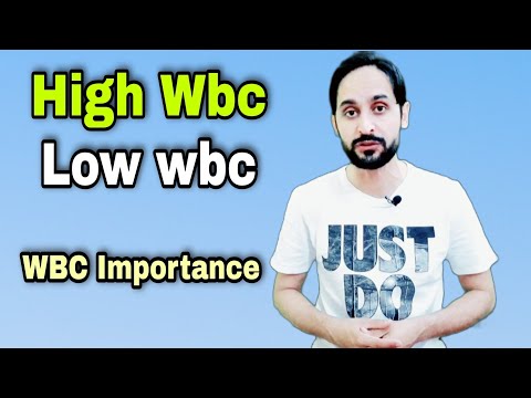 WBC எண்ணிக்கை மற்றும் அதன் முக்கியத்துவம் | அதிக WBC மற்றும் குறைந்த WBC காரணங்கள்