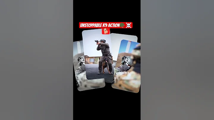 Unstoppable K9 Action #shorts #dog #militarydogs