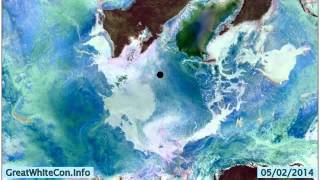 Arctic Sea Ice - JAXA AMSR2 RGB 2013/14