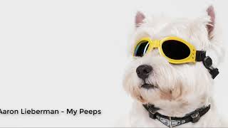 My Peeps - Aaron Lieberman (Funk) / Best Music Playlist