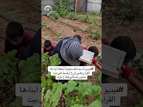 سيدة فلسطينية تحفظ أبناءها القرآن وهي تزرع أرضها في بيت حانون