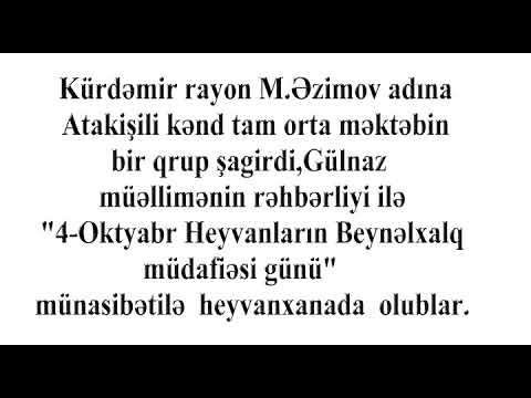 Video: Heyvanların müdafiəsində?