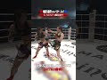 日韓若手対決、堀田に軍配3RTKO勝利! #knockoutkb #格闘技 #KO67