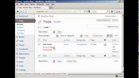Learn - How To Clean Up A New WordPress Blog