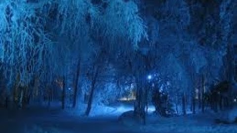 سورة الأعراف (ربع الحزب 17) القارئ محمد عبدالكريم