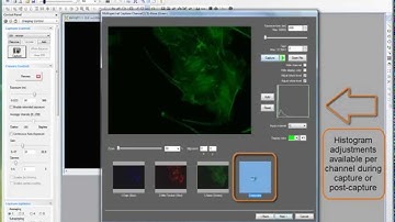INFINITY ANALYZE 6.5.0 QUICK TIP:  Multispectral Settings and Capture Wizard