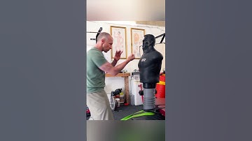 Baguazhang "Snake coils when cornered". #martialarts #bagua #striking #fight #kungfu