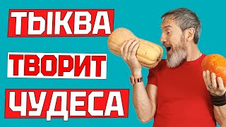 Потрясающий Десерт Из Тыквы. Этого Вы Точно Не Знали О Пользе Тыквы. Два Вкусных Рецепта