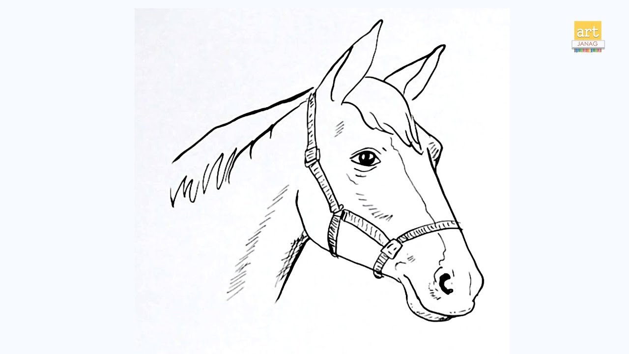 Draw Horse Heads And Faces Step by Step Drawing Guide by Dawn  DragoArt
