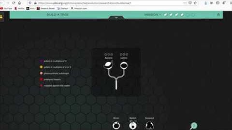 NOVA lab tutorial (extended)