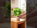 Video 6 Living Room Upgrade Fix rental safe #6 - Tiny Space Transformation