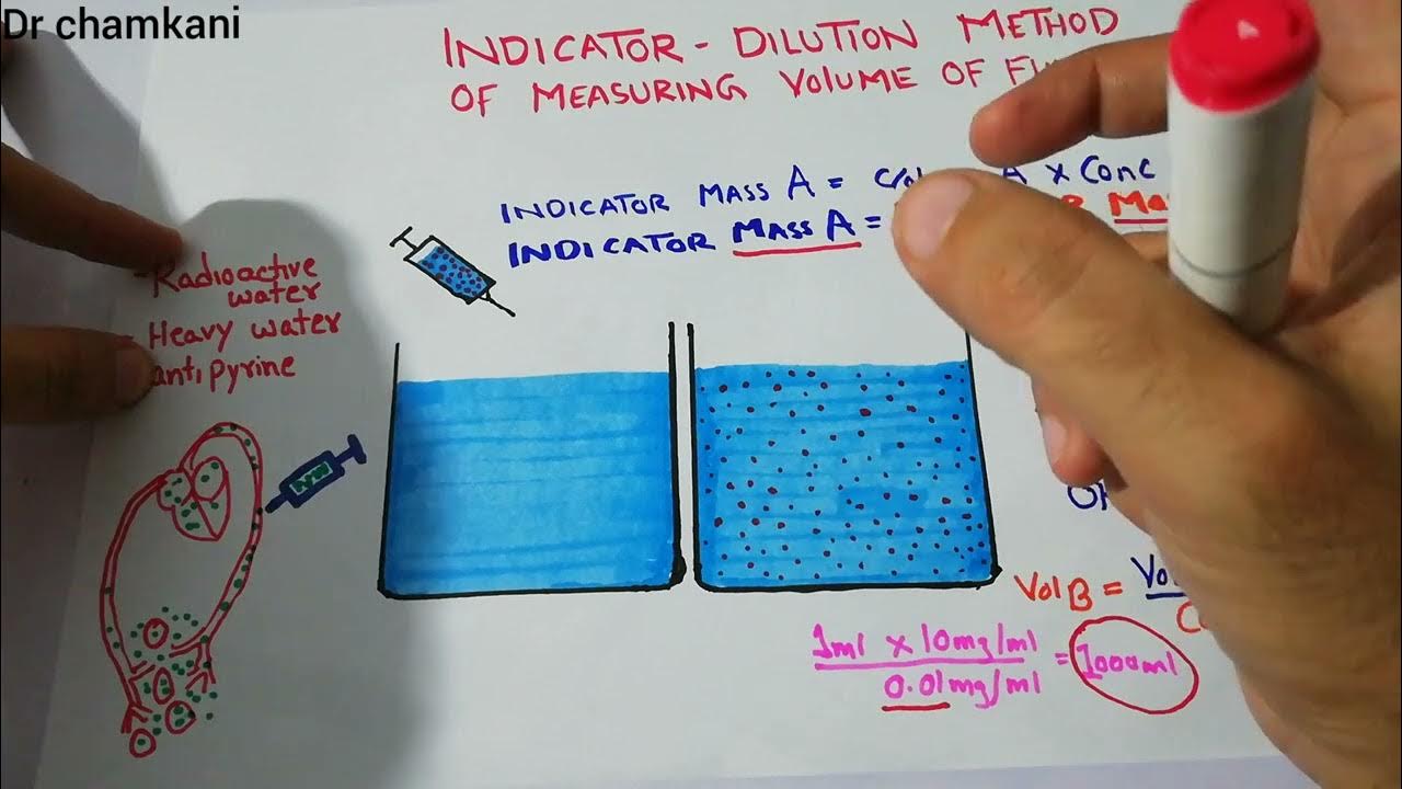Renal physiology lecture 6 Indicator dilution method for measuring total body water YouTube
