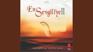 Sensiz Değil — Dursun Ali Erzincanlı kapak görseli