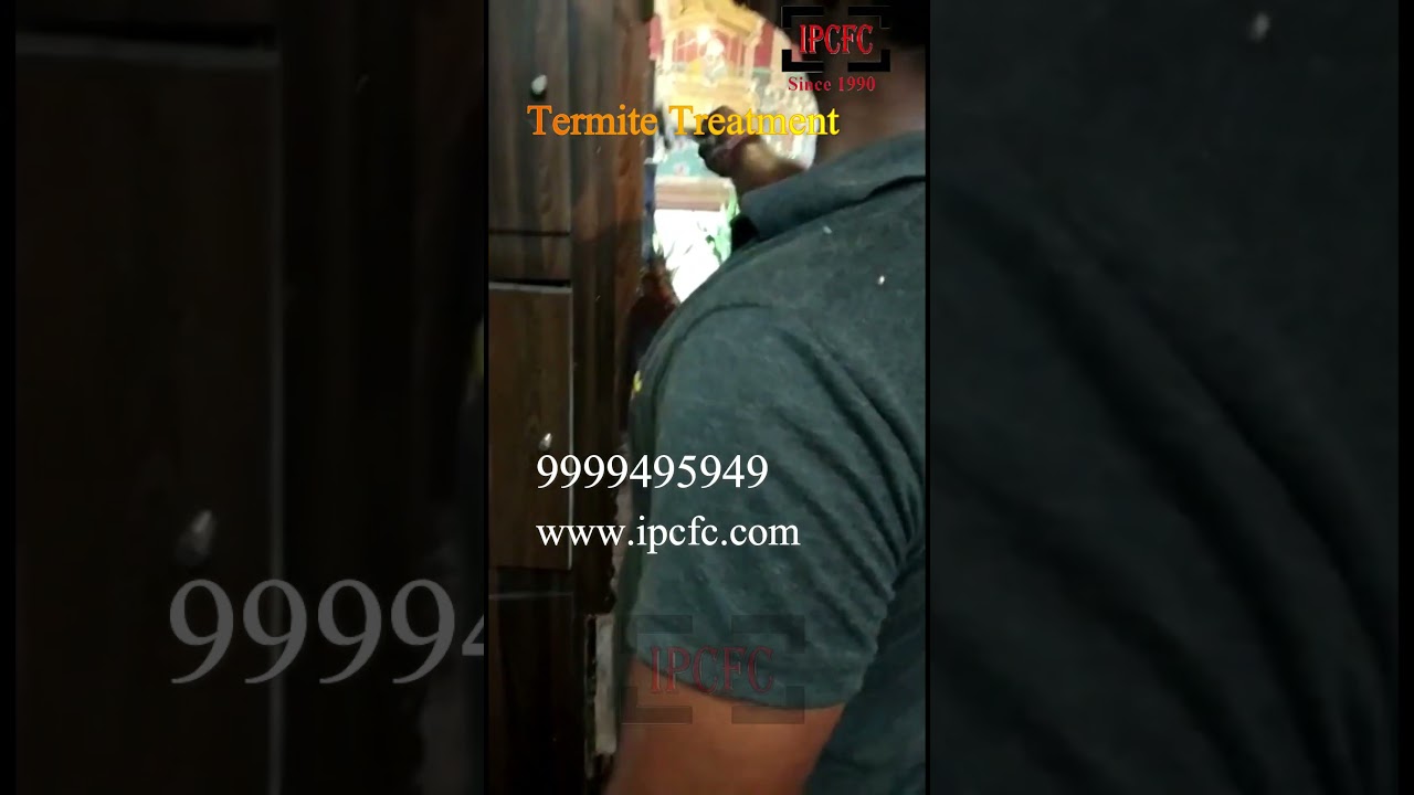 Shocking Termite Damage Revealed! Expert Treatment in Action IPCFC, 