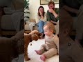 初めて犬に文句を言われた赤ちゃん、どうしていいか分からず固まってしまう。。。#dog #baby #cute #funny #shorts #shortvideo #赤ちゃん #トイプードル