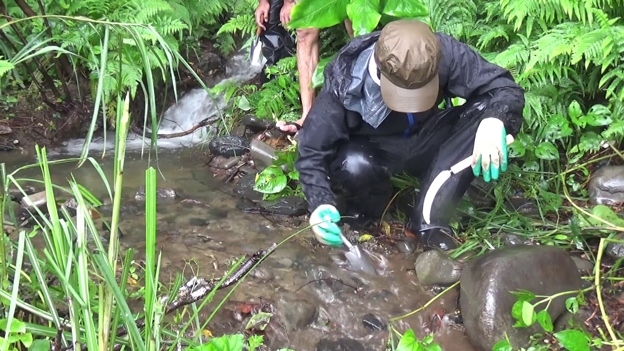 矢野智徳　大地の再生の手法❸水脈（水切り）「水脈のリズムを聴き分ける」