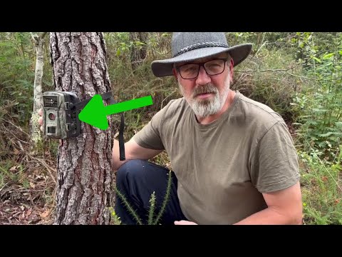 Wild Animals on our Homestead | Behind the Scenes Footage | Soup
