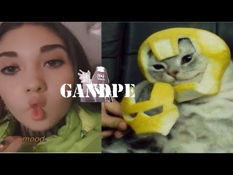 videos-random-2020|memes|gandpe