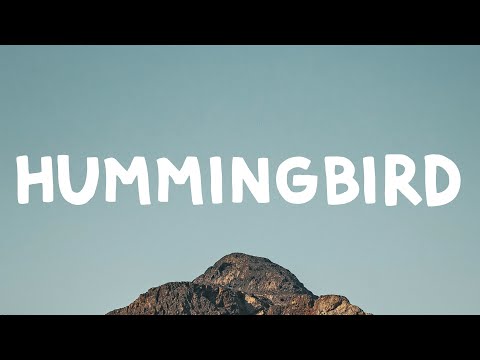 Metro Boomin Hummingbird Visualizer Feat James Blake