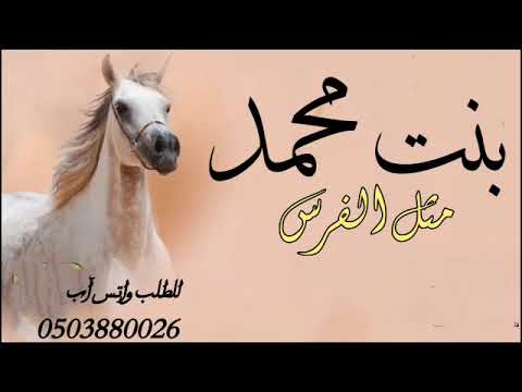 شيله بنت محمد 2023 مثل الفرس شيلات مدح بنت محمد مجانيه بدون حقوق