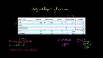 Segment Reporting Disclosures