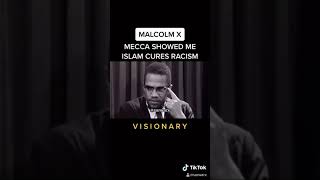 MALCOLM X - ISLAM IS THE CURE FOR RACISM