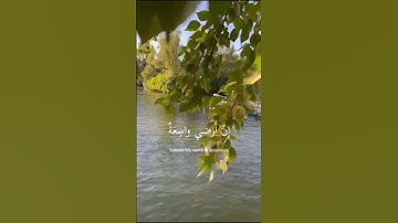 #اذكار_الصباح #اكسبلور #يارب #دويتو #القران #الشعب_الصيني_ماله_حل #القاريء #ترند #قرآن